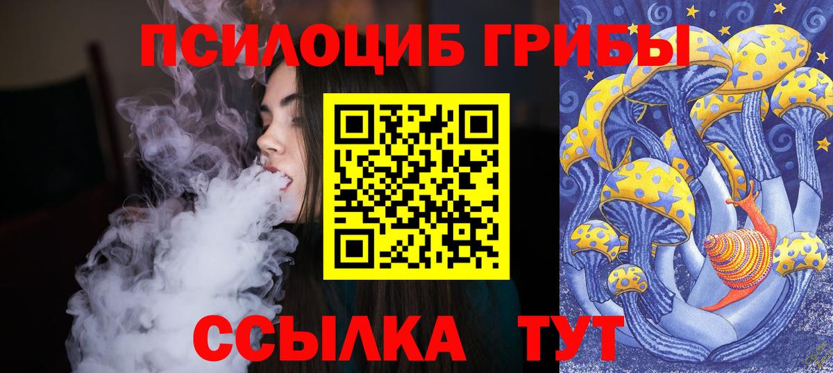Псилоцибиновые грибы прущие грибы  Вход с VPN  Родники 